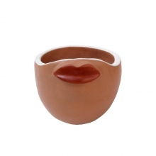 Beijoqueira Cachepot Vaso