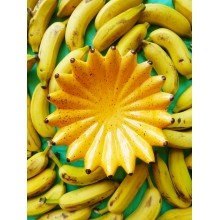 Bananas fruteira c/ pé