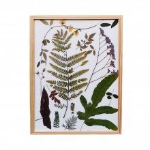 Botanike Quadro com Moldura