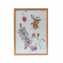 Da terra quadro com moldura